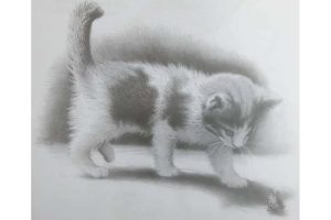 تصویر گربه طراحی شده با مداد / آموزش نقاشی در تهران