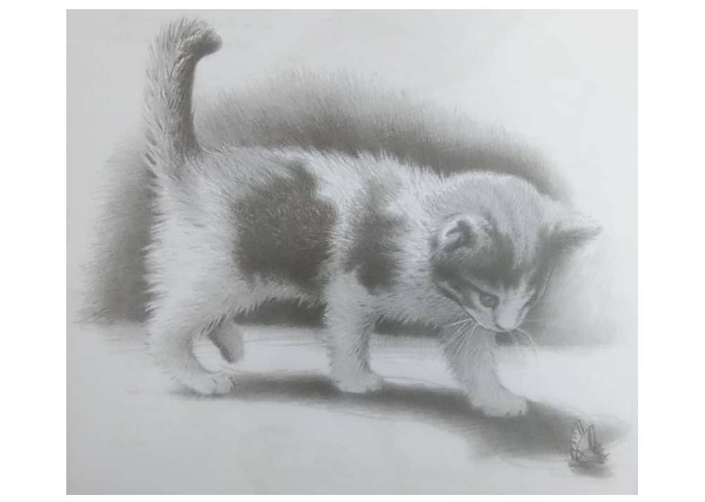 تصویر گربه طراحی شده با مداد / آموزش نقاشی در تهران