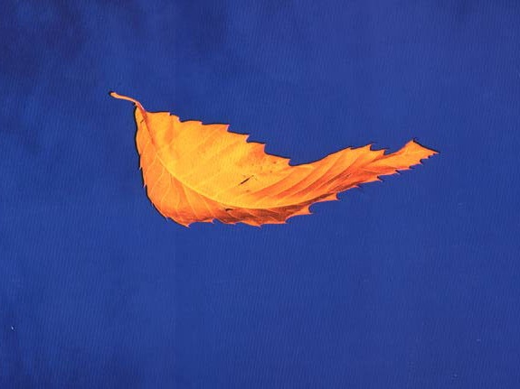 استفاده از رنگ مکمل