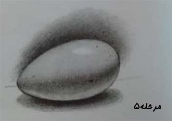 تصویر کامل طراحی شده تخم مرغ / آموزش طراحی با مداد در تهران