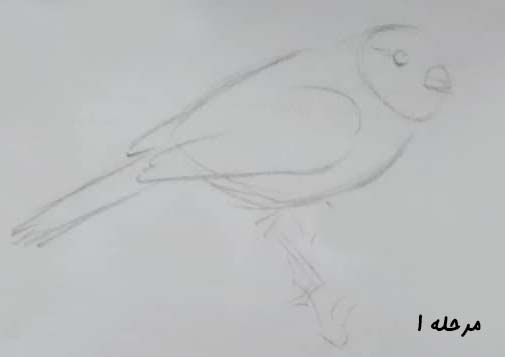 تصویر کم رنگ طراحی شده گنجشک / آموزش طراحی با مداد در تهران