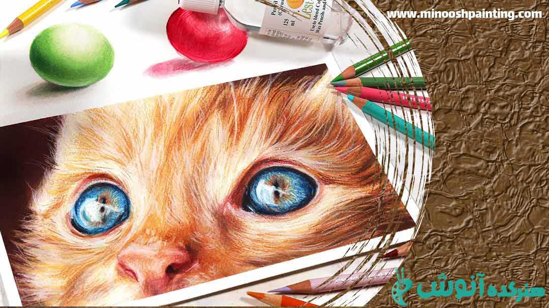 تصویر یک گربه نارنجی با مداد رنگی برای مقاله نکات نقاشی با مداد رنگی
