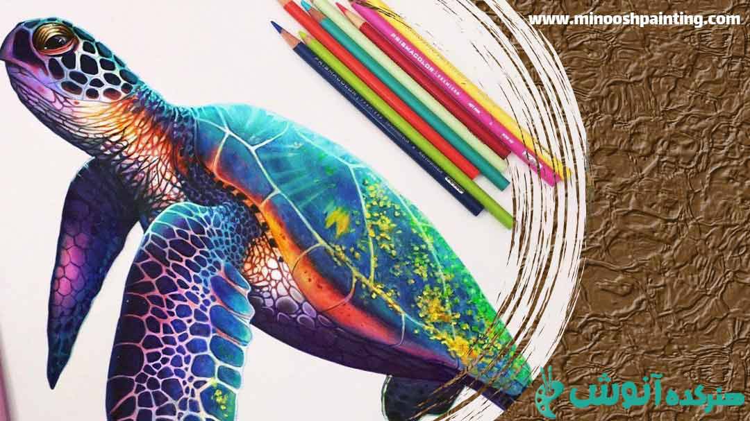 تصویر یک لاک پشت کشیده شده با مداد رنگی برای مقاله نکات نقاشی با مداد رنگی